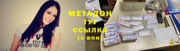 хмурый Аркадак