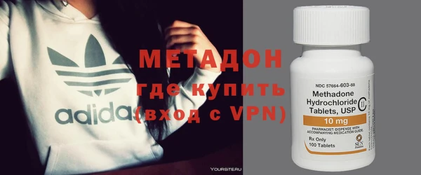 хмурый Аркадак