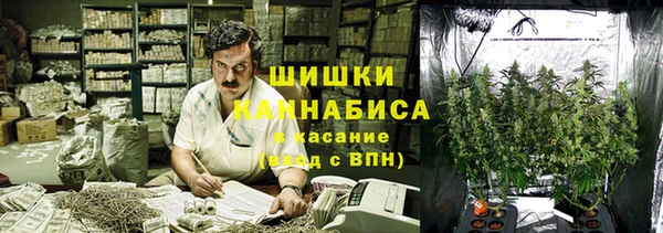 меф Арсеньев