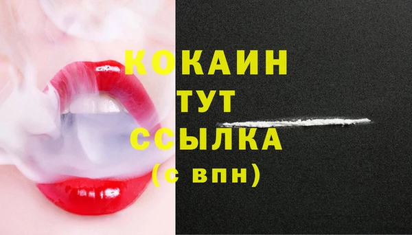 меф Арсеньев