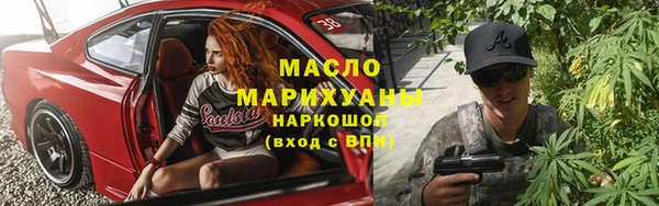 хмурый Аркадак