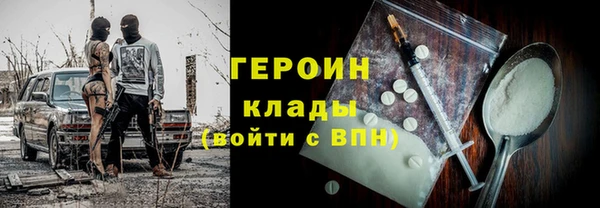 хмурый Аркадак