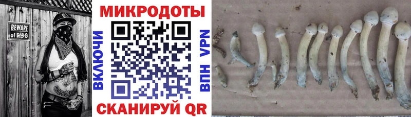 Псилоцибиновые грибы Psilocybe  OMG рабочий сайт  Сальск 